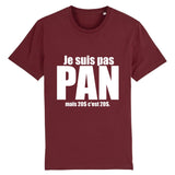 T-shirt LGBT super marrant dédié aux Pansexuels car il y a ecrit : Je suis pas Pan mais 20 dollars c'est 20 dollars. parfait pour les prides ou marches des fierté. le vêtement est de couleur bordeaux