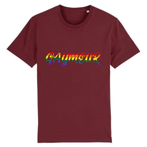 T-shirt "Gaymeur"