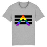 Le t-shirt Style Urbain de PrideAvenue.fr dédié aux Alliés LGBTQIAP+ ! hyper confortable celui-ci est affiché de couleur Gris