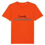 T-shirt LGBT de PrideAvenue au style urbain et cool ! il est imprimé le slogan : En Mode Panromantique ! il est de couleur Orange