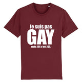 Stanley/Stella Creator - DTG - T-shirt "GAY 20$" | PrideAvenue