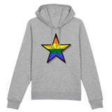 Sweat à capuche lgbt Super Star de prideavenue collection unisexe effet 3D couleurs arc-en-ciel gris