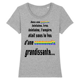 Dans une galaxie lointaine, très lointaine, l'empire était sous le feu d'une communauté gay grandissante. T-shirt gris LGBT de star wars ! 