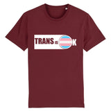 T-shirt "Trans is OK"