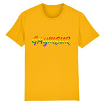 T-shirt "Gaymeur"