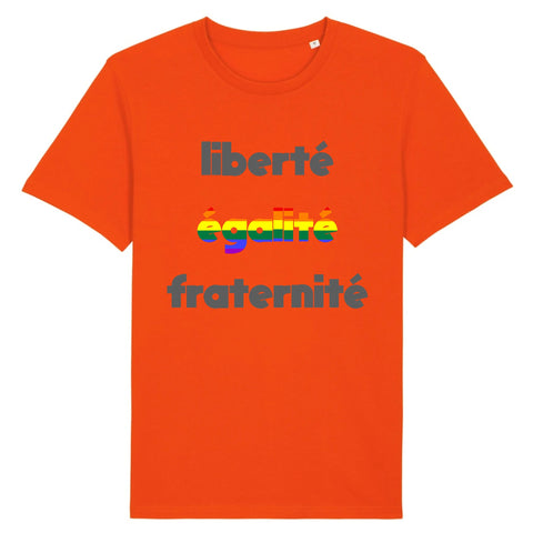 T-shirt "Liberté, Égalité, Fraternité" en Arc-en-ciel